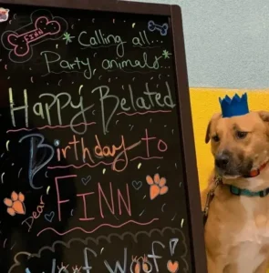 A dog standing next to a chalkboard with birthday wishes written on it.